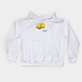 Purrfect Cat Kids Hoodie